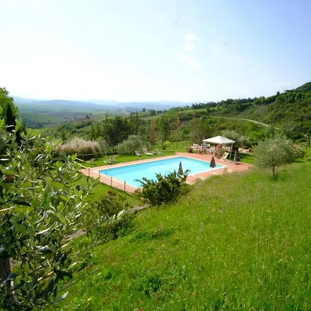 Lucertola