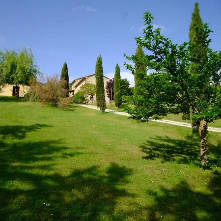 Lucertola Appartement