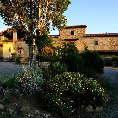 Lucertola *