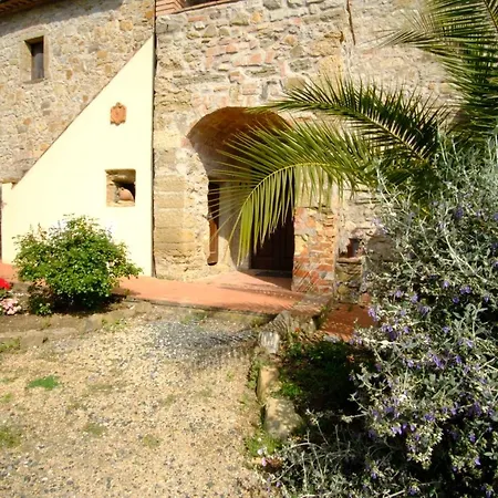Lucertola