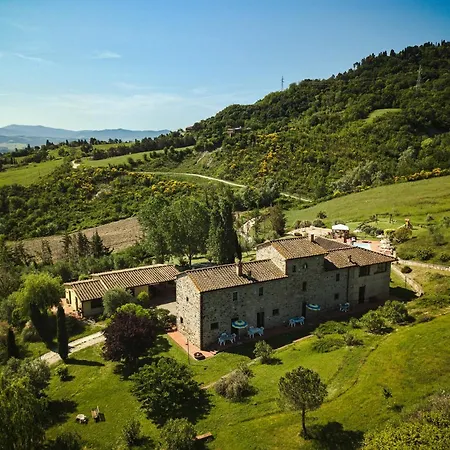 Lucertola Montecatini Val di Cecina