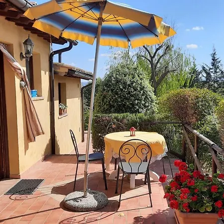 Lucertola Apartment Montecatini Val di Cecina