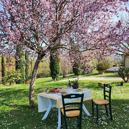 Appartement Lucertola