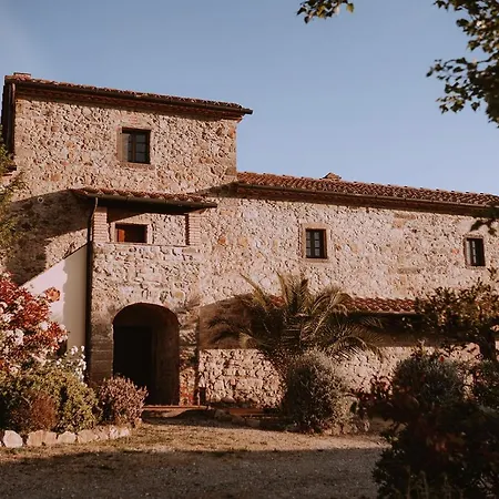 Lucertola * Montecatini Val di Cecina