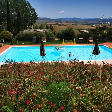 Lucertola * Montecatini Val di Cecina