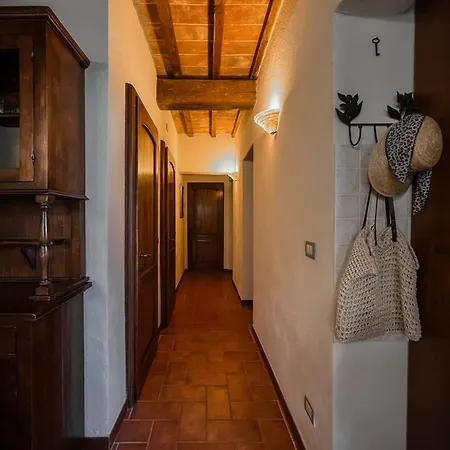 Lucertola Apartment