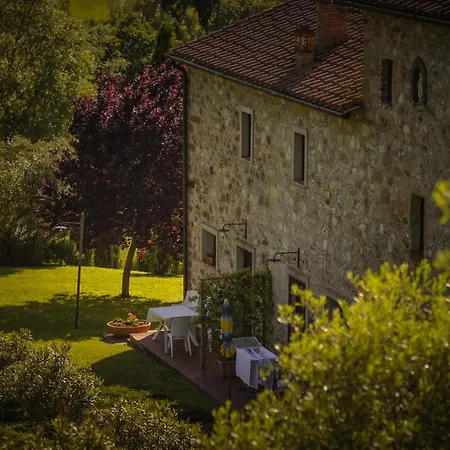 Lucertola *