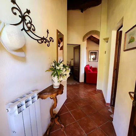 Lucertola Apartment Montecatini Val di Cecina