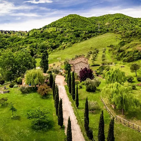 Lucertola Montecatini Val di Cecina
