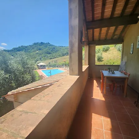 Lucertola