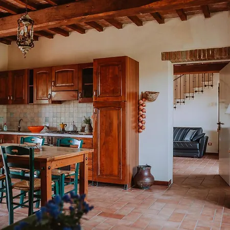 Lucertola Apartment