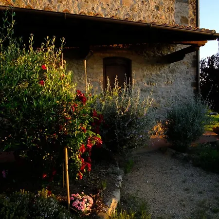 Apartment Lucertola Montecatini Val di Cecina