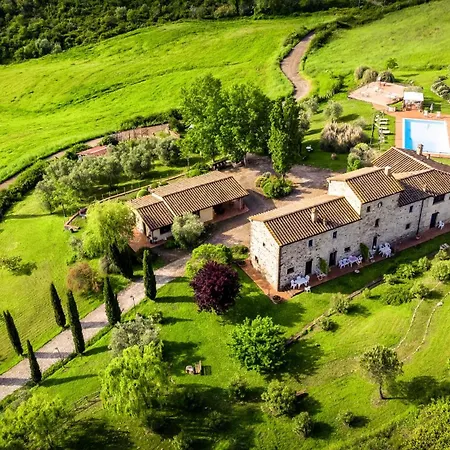 Lucertola *