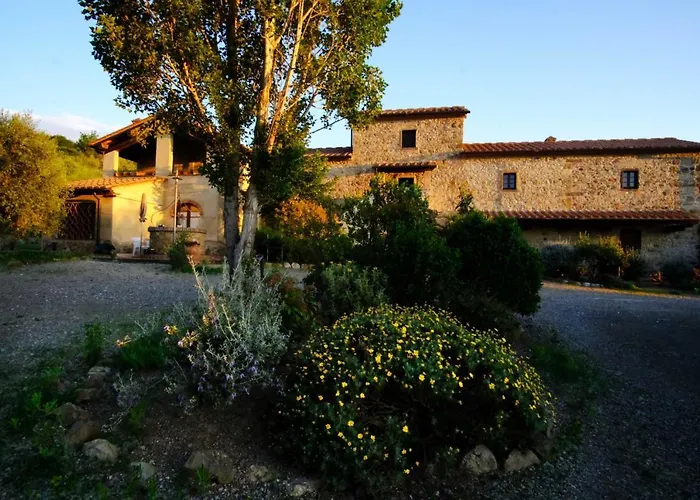 Lucertola *