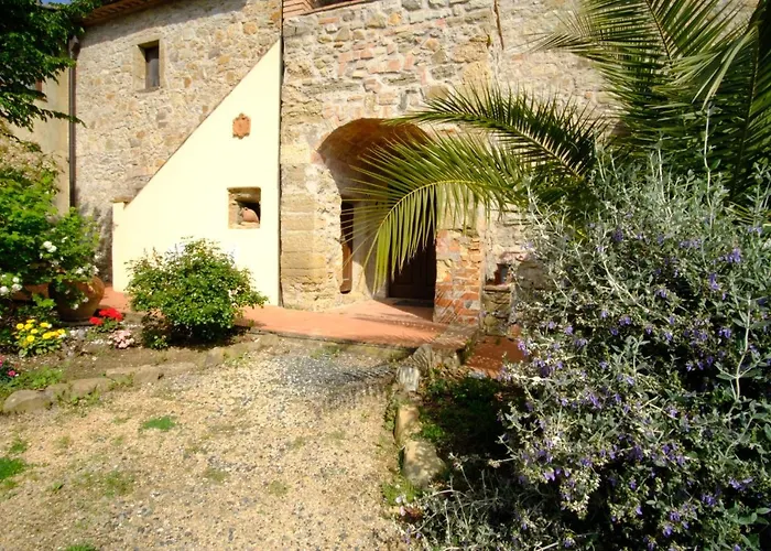 Lucertola